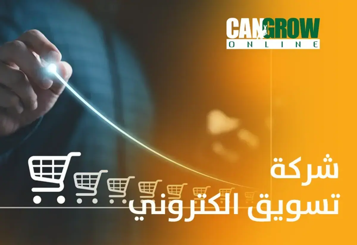 Digital Marketing Agency