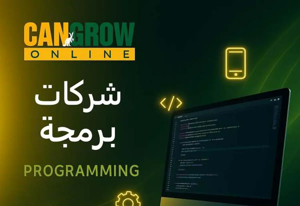 Software Companies in Egypt